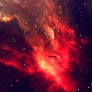 Meet your Posher, Kennedy